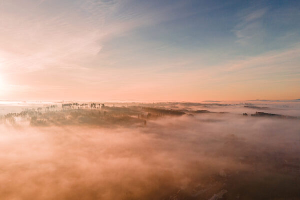 94B33FEE-135A-4052-AF39-07ECC019C96F