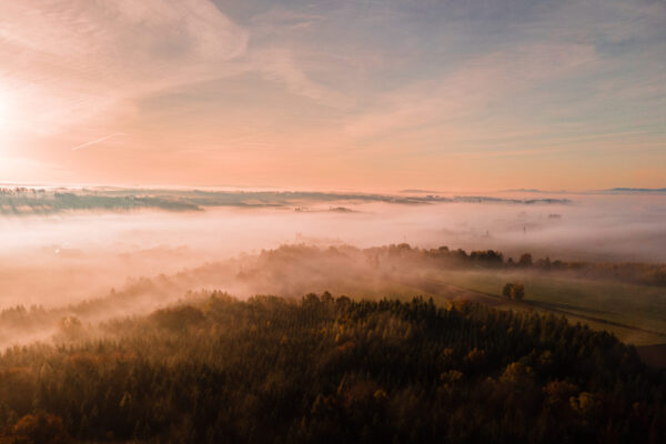 BF3BAF21-348F-492E-A1A7-CD886518275C